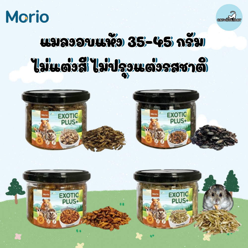 Morio แมลงอบแห้ง 35-45 กรัม (ดักแด้ จิ้งหรีด สะดิ้ง ปลา) โปรตีนสูง สำหรับแฮมเตอร์ ชูการ์ไกลเดอร์ เม่นแคระ นก กระรอก