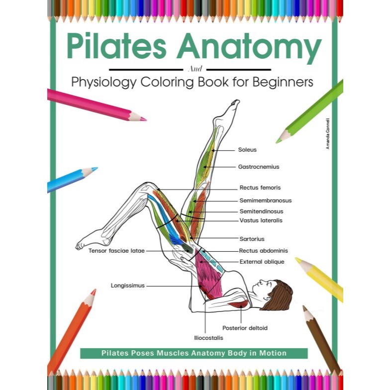 หนังสือระบายสี พิลาทิส Pilates Anatomy & Physiology for Beginners เรียนรู้กล้ามเนื้อและท่าเล่นต่างๆ ฉบับพิมพ์หน้าหลัง