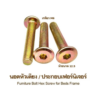 10ตัว โบลท์ยึดหัวเตียง ตู้ เปลเด็ก ราวตากผ้า ฟิตติ้ง หัวหกเหลี่ยม M6 สกรูอเนกประสงค์ ใช้คู่กับโดเวลนัท/ตัวหนอน