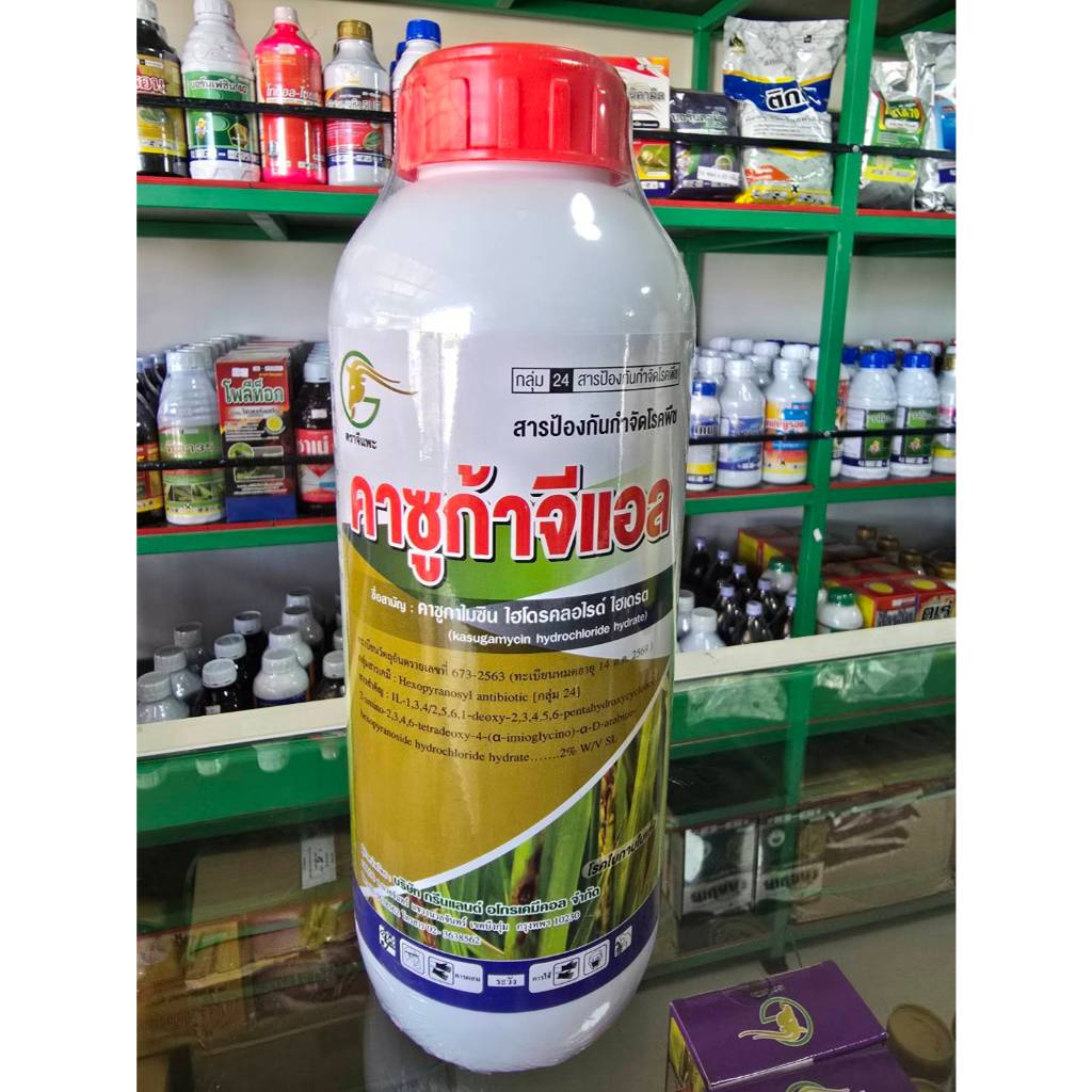 คาซูก้าจีแอล(สุดค้ม ยกลัง) คาซูก้ามัยซิน 2% SLสารป้องกำจัดโรคใบไหม้ ขอบใบเเห้ง โรคเน่าคอรวงในข้าว โรคใบเน่า โรคโคนเน่