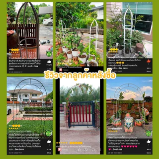 【ของแต่งสวน】ซุ้มไม้เลื้อย ซุ้มกุหลาบเลื้อย240*140*40แข็งแรงมากขึ้น 19mm PE กันสนิม ซุ้มงานแต่ง ซุ้มลูกโป่ง โครงไม้เลื้อย