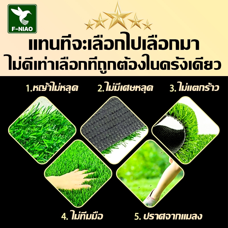 รูปภาพ 6