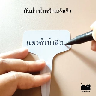 ปากกากันน้ำ ปากกาเขียนป้ายชื่อต้นไม้ ปากกามาร์คเกอร์ หมึกแห้งเร็ว มี2หัวในด้ามเดียวกัน
