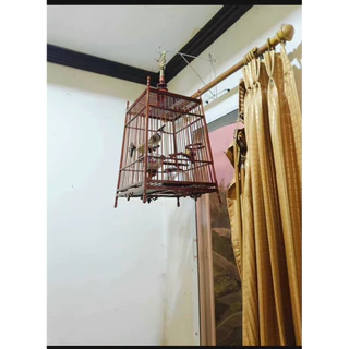 ตะขอแขวนกรงนก ติดผนัง (สแตนเลส)