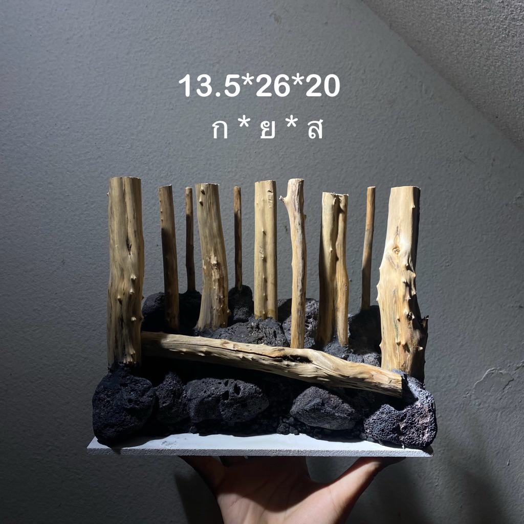 เลเอาท์ตู้ไม้น้ำ เลเอาท์แนวป่า layout สำหรับตู้ 12 นิ้ว 14 นิ้ว 16 นิ้ว