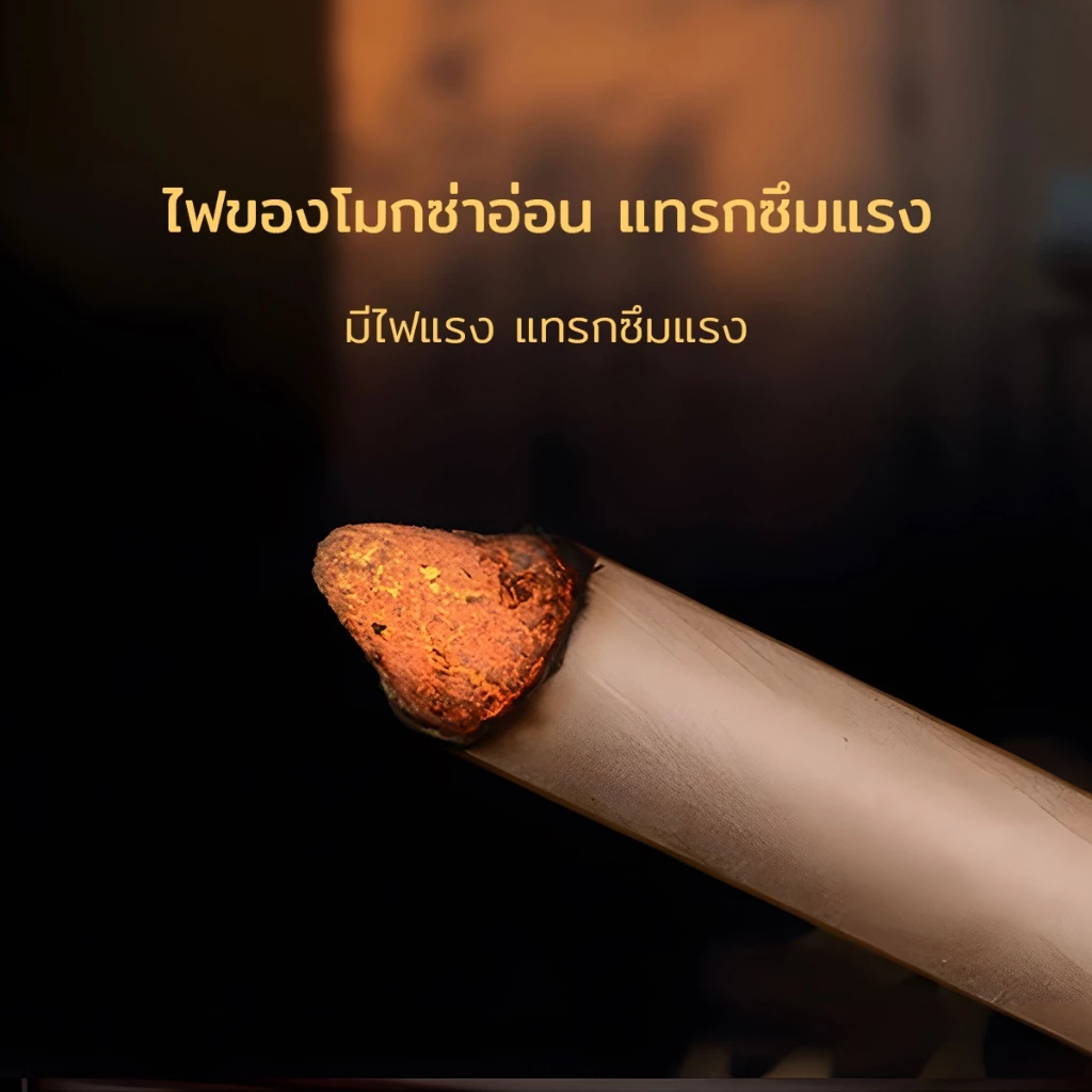 ไม้กันยุง พร้อมที่ตั้งธูปฟรี ดีไซน์กะทัดรัด นำไปได้ทั้งทริปปิกนิก เที่ยวทะเล หรือแคมป์ปิ้ง กลิ่นไม่แรงจนเกินไป แต่ประสิท thumbnail 6