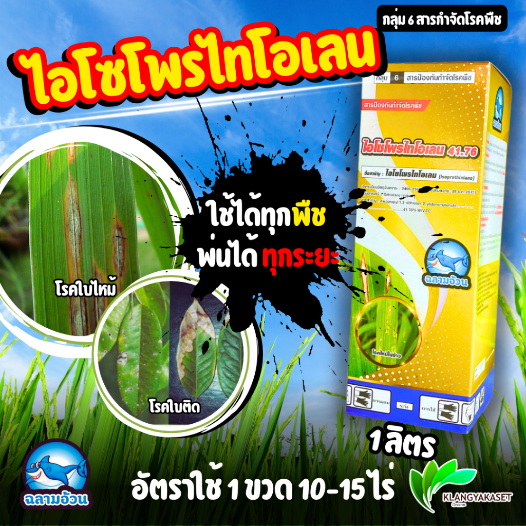 ไอโซโพรไทโอเลน 1 ลิตร ฉลาม ใบไหม้ ใบแห้ง ใบส้ม ใบติด เชื้อรานาข้าว