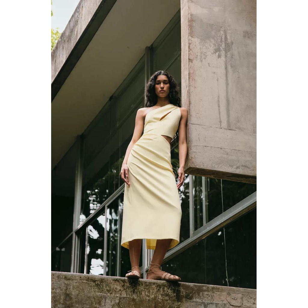 (New) Zara - Cutout midi dress