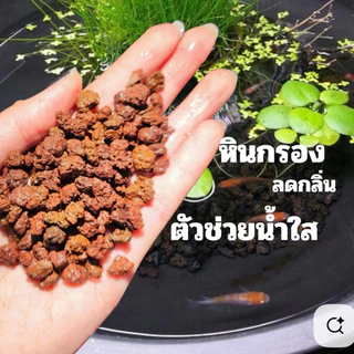 หินกรอง🥇ช่วยน้ำใส ดูดกลิ่น ปลูกต้นไม้ได้🌿