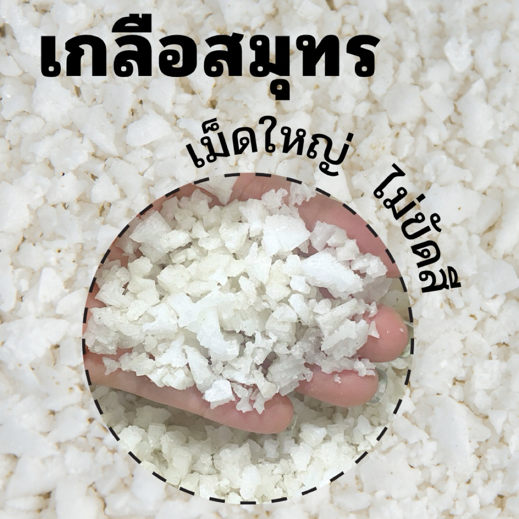 เกลือสมุทร เกล็ดขาว ไม่ขัดสี เกลือขาว ใส่บ่อ ใส่ตู้ปลา
