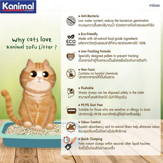 Kanimal คานิมอล ทรายแมวเต้าหู้ธรรมชาติ 100% ปราศจากฝุ่น ขนาด 6 ลิตร