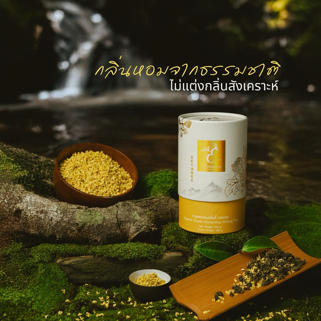 ชาอู่หลงหอมหมื่นลี้ ออร์แกนิก Sweet Osmanthus Oolong Tea ตรา ชาไทยมรกต ใบชาโชคจำเริญ