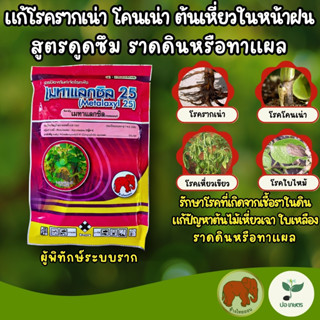 เมทาแลกซิล 25 (100 กรัม) ยาแก้โรครากเน่า โคนเน่า ต้นเหี่ยวใน…