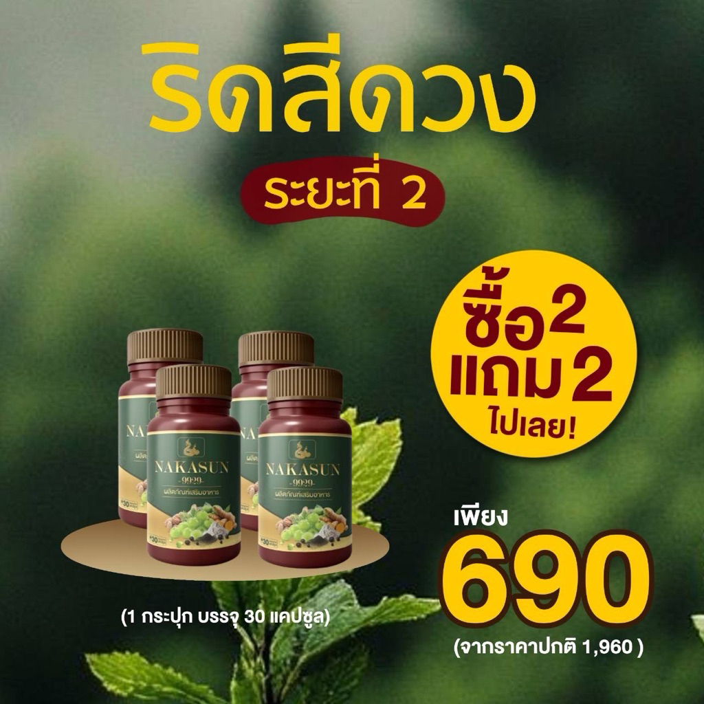 นาคาเม็ดสมุนไพรริดสีดวงนาคาซัน9929