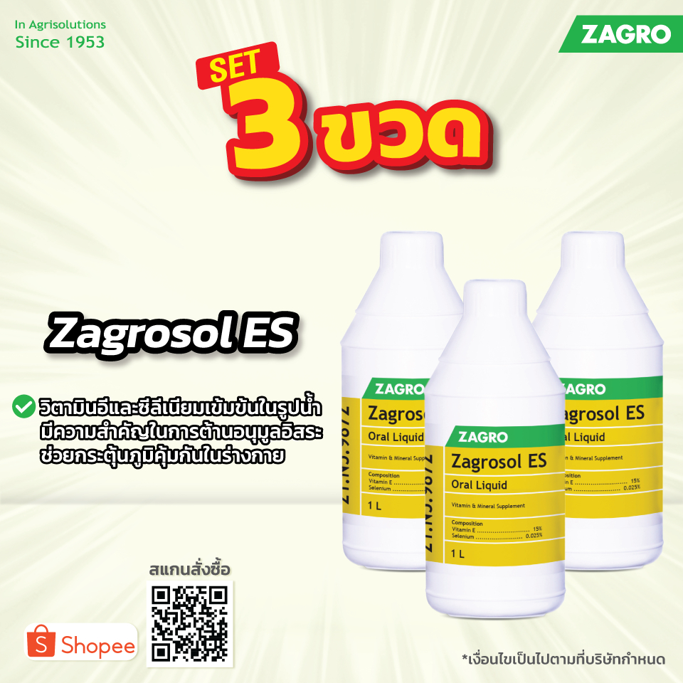 [ set 3 ขวด ] Zagrosol ES ขนาด 1 ลิตร วิตามินน้ำ ช่วยกระตุ้นภูมิ