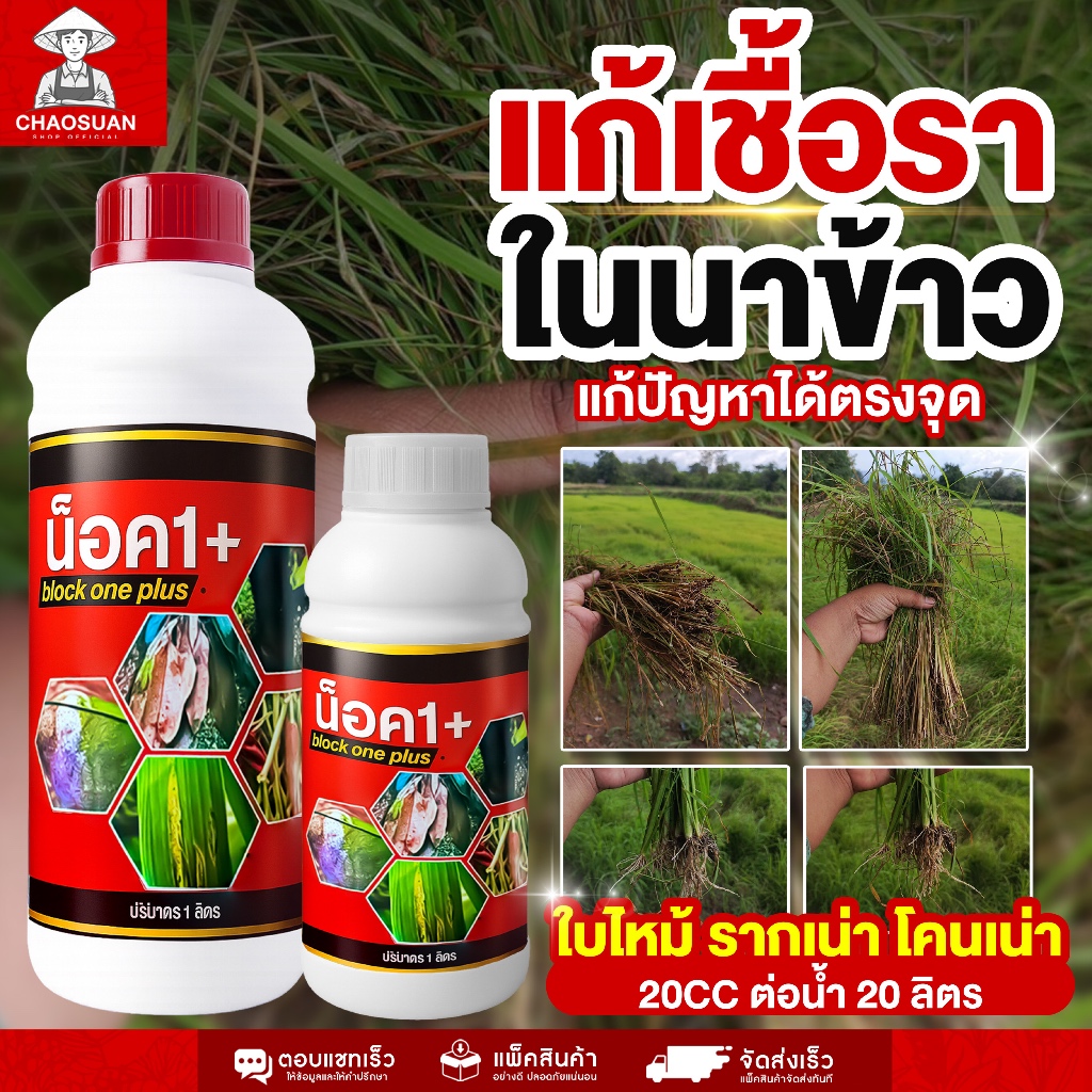 ยาป้องกันเชื้อราในข้าว ใบไหม้ รากเน่า โคนเน่า ใช้ได้ผลจริง น็อค1+ บล็อควันพลัส สูตรเข้มข้น