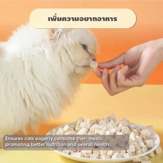 ขนมฟรีซดราย ไก่ฟรีซดราย แซลมอนฟรีซดราย ขนมแมว ขนมหมา Freeze Dried for Cat & Dog