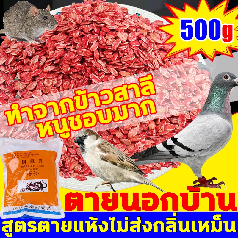 บอกลาขี้นกที่กวนใจ ยาเบื่อนก1000g ยาฆ่านกพิราบ ตายกลางแจ้ง ตายแห้งไม่เหม็น ยากำจัดนกพิราบ กินง่ายตายไว เห็นผลชัวร์500%