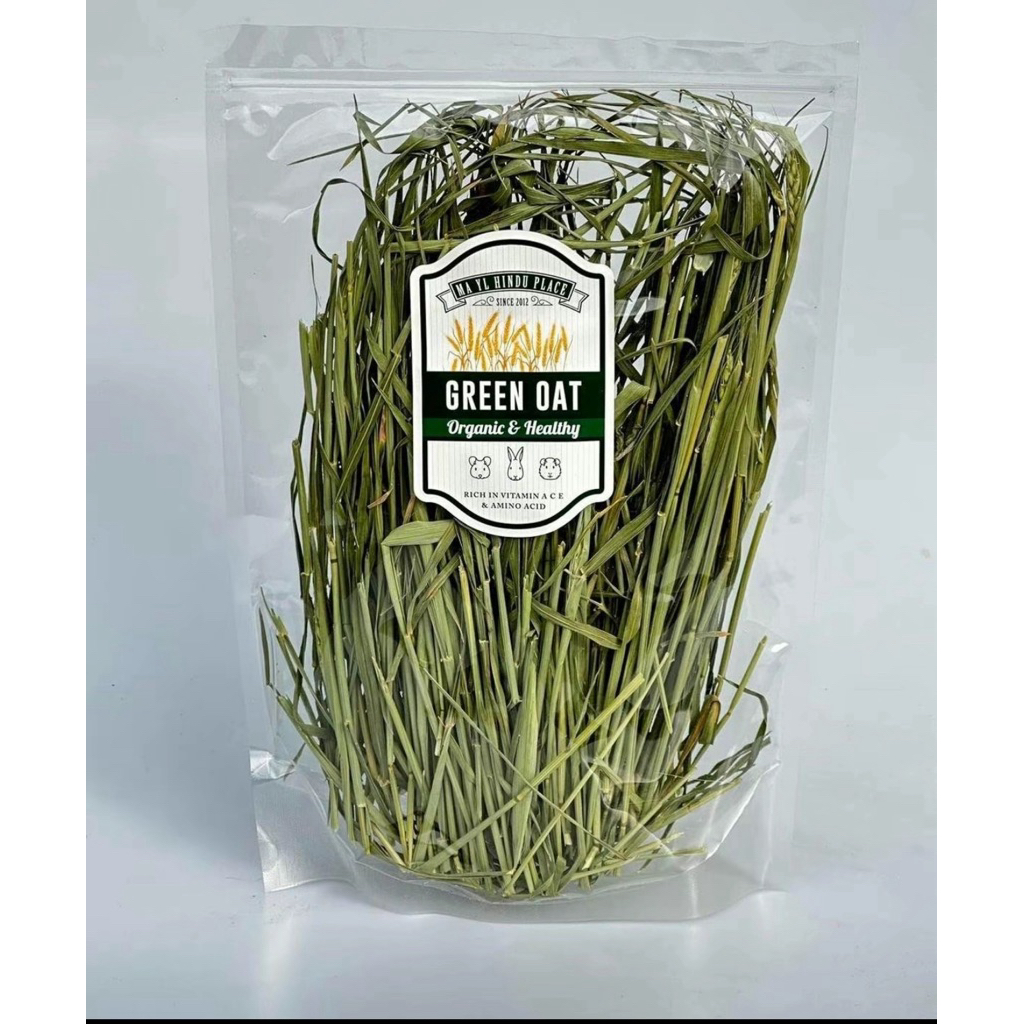 green oat กรีนโอ๊ต หญ้าสำหรับกระต่ายเเละสัตว์ฟันเเทะ