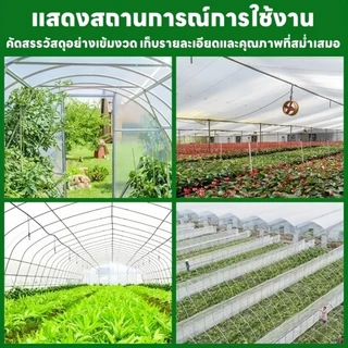 พลาสติกโรงเรือน พลาสติกใส พลาสติกคลุมโรงเรือน กันฝนgreenhouse หนา 180/200/250 ไมครอน UV15% โรงเรือนแคคตัส พลาสติกปูบ่อ