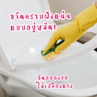 [โรงงานขายเอง] Mr.Clean น้ำยาทำความสะอาดห้องน้ำ ดับกลิ่น ขจัดคราบฝังแน่น กลิ่นไม่ฉุน