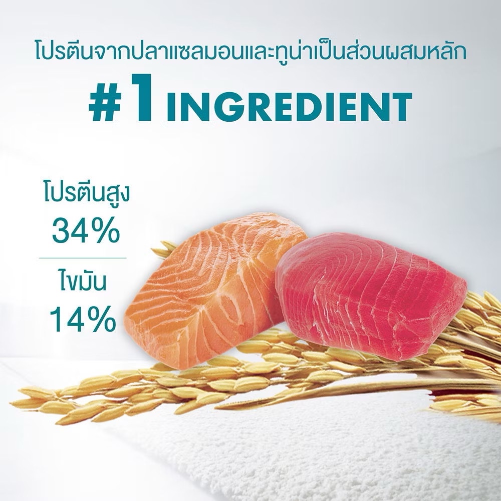 (6.6kg) อาหารแมว Purina One ขนาด 6.6kg