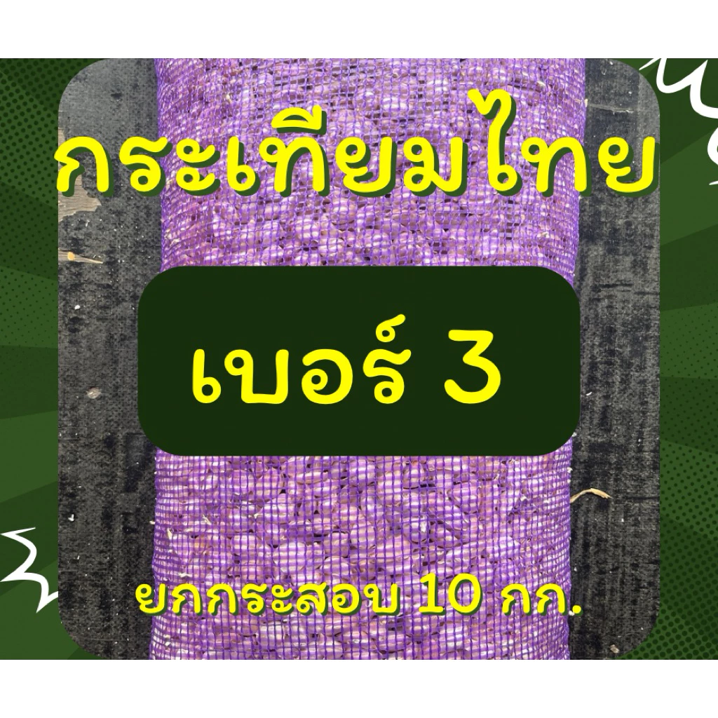 กระเทียมไทยแกะกลีบเบอร์ (3) 10 กก. (ขายส่ง)