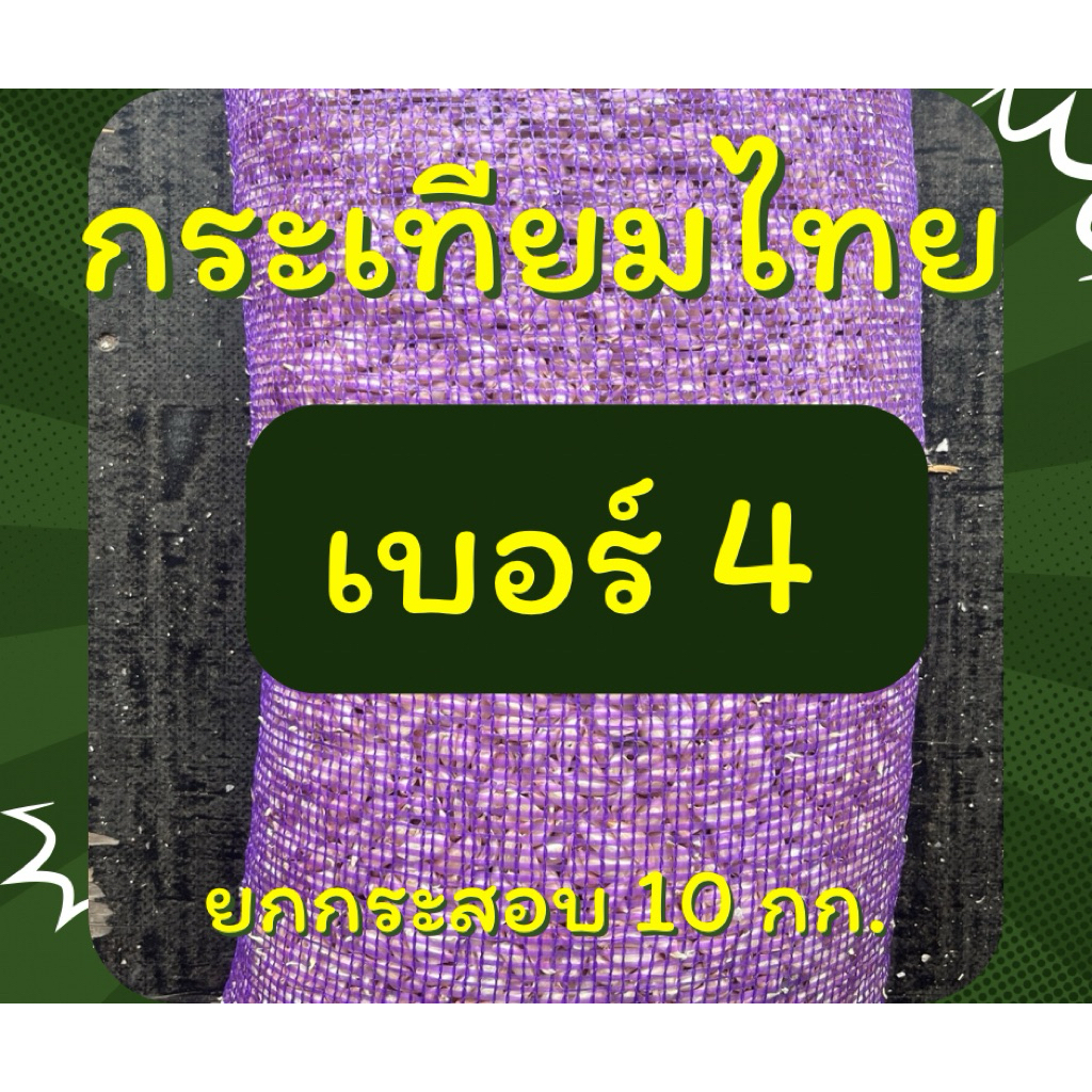 กระเทียมไทยแกะกลีบเบอร์ 4 (เล็กสุด) ยกกระสอบ 10 กก สวย ไม่ลีบ ไม่ฝ่อ (ขายส่ง)