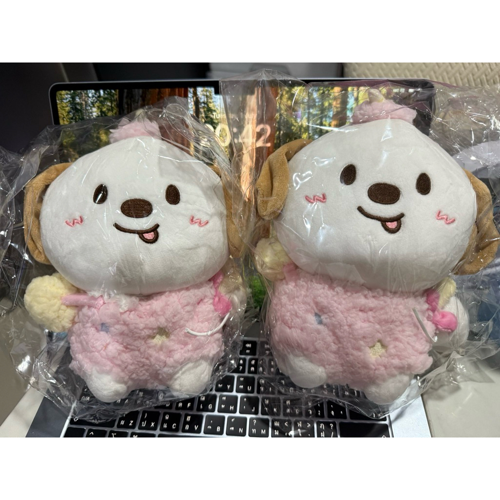 [พร้อมส่ง] WE LITTLE RIIZE แอนตัน 20CM