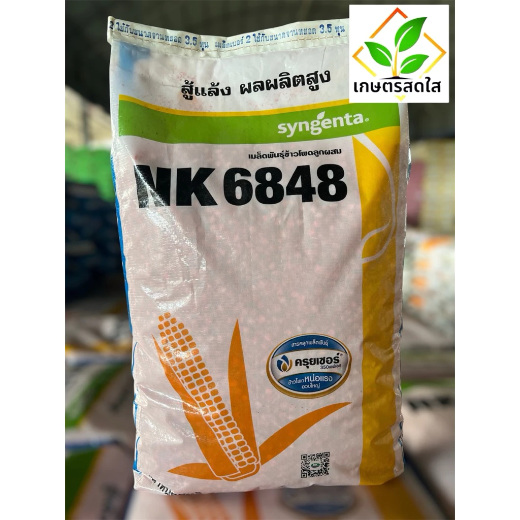 เมล็ดพันธุ์ข้าวโพด NK 6848 (3/3.5 หุน) *ขนาด 10 กก. ทนแล้ง ปลูกถี่ได้ ลำต้นแข็งแรง