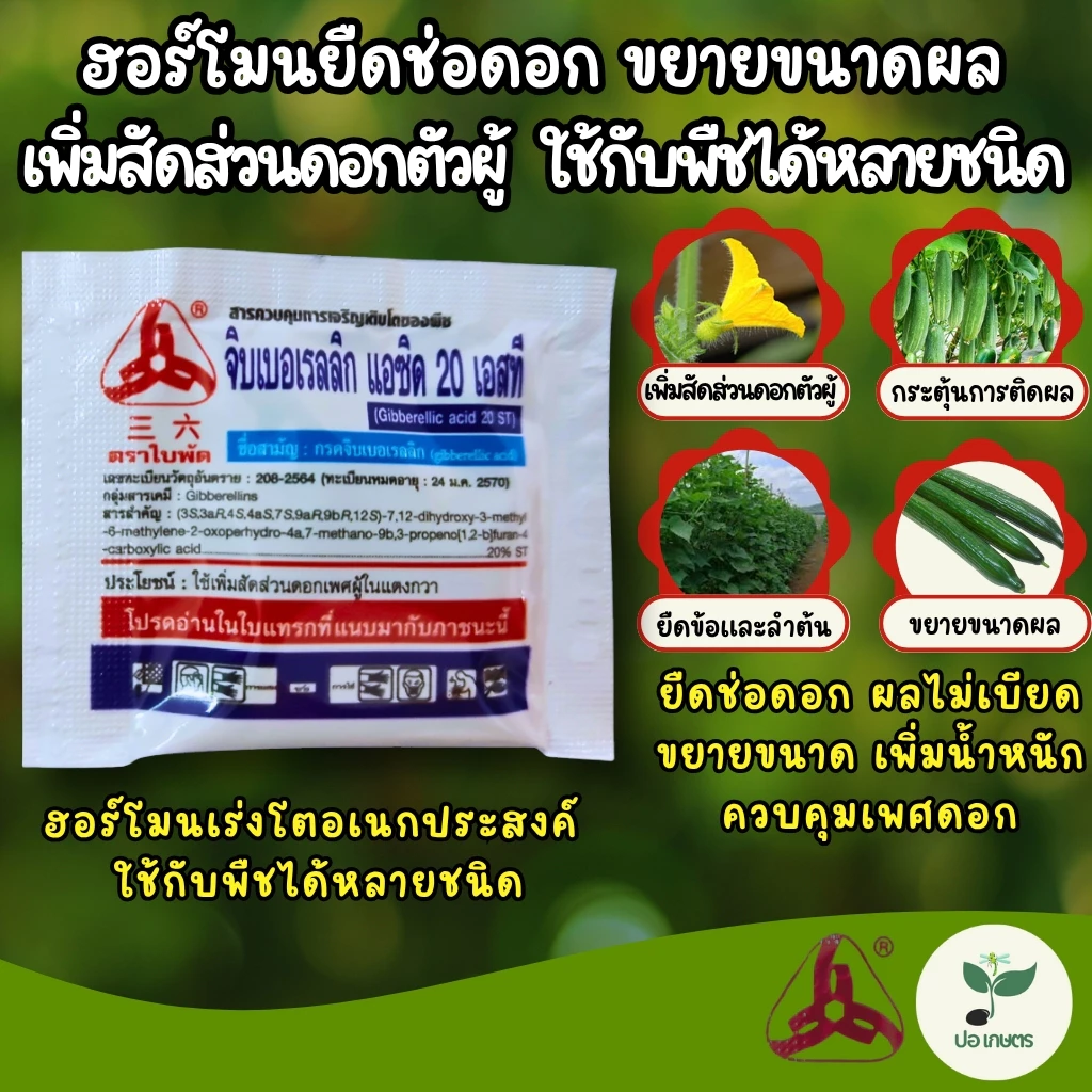 จิบเบอเรลลิก แอซิด 20 เอสที (5 กรัม) [กรดจิบเบอเรลลิก] ฮอร์โมนยืดช่อดอก เพิ่มสัดส่วนดอกตัวผู้ ขยายขนาดผล กระตุ้นการงอก