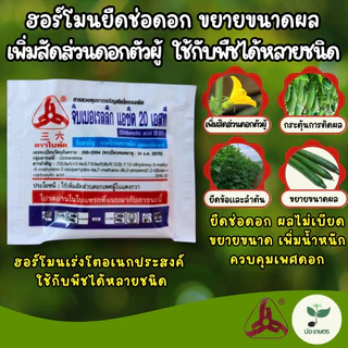 จิบเบอเรลลิก แอซิด 20 เอสที (5 กรัม) [กรดจิบเบอเรลลิก] ฮอร์โมนยืดช่อดอก เพิ่มสัดส่วนดอกตัวผู้ ขยายขนาดผล กระตุ้นการงอก