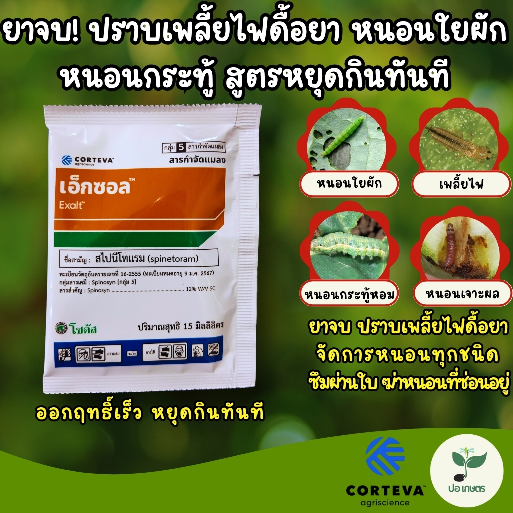 เอ็กซอล (15 มล.) [สไปนีโทแรม] ยาจบ! ปราบเพลี้ยไฟดื้อยา หนอนใยผัก หนอนกระทู้ สูตรหยุดกินทันที