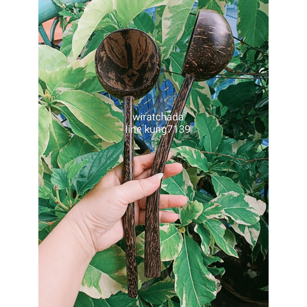 กระบวยกะลาตักน้ำ อาหาร ร้อน/เย็น ด้านไม้ตาลโค้งจับถนัด ธรรมชาติ Handmade