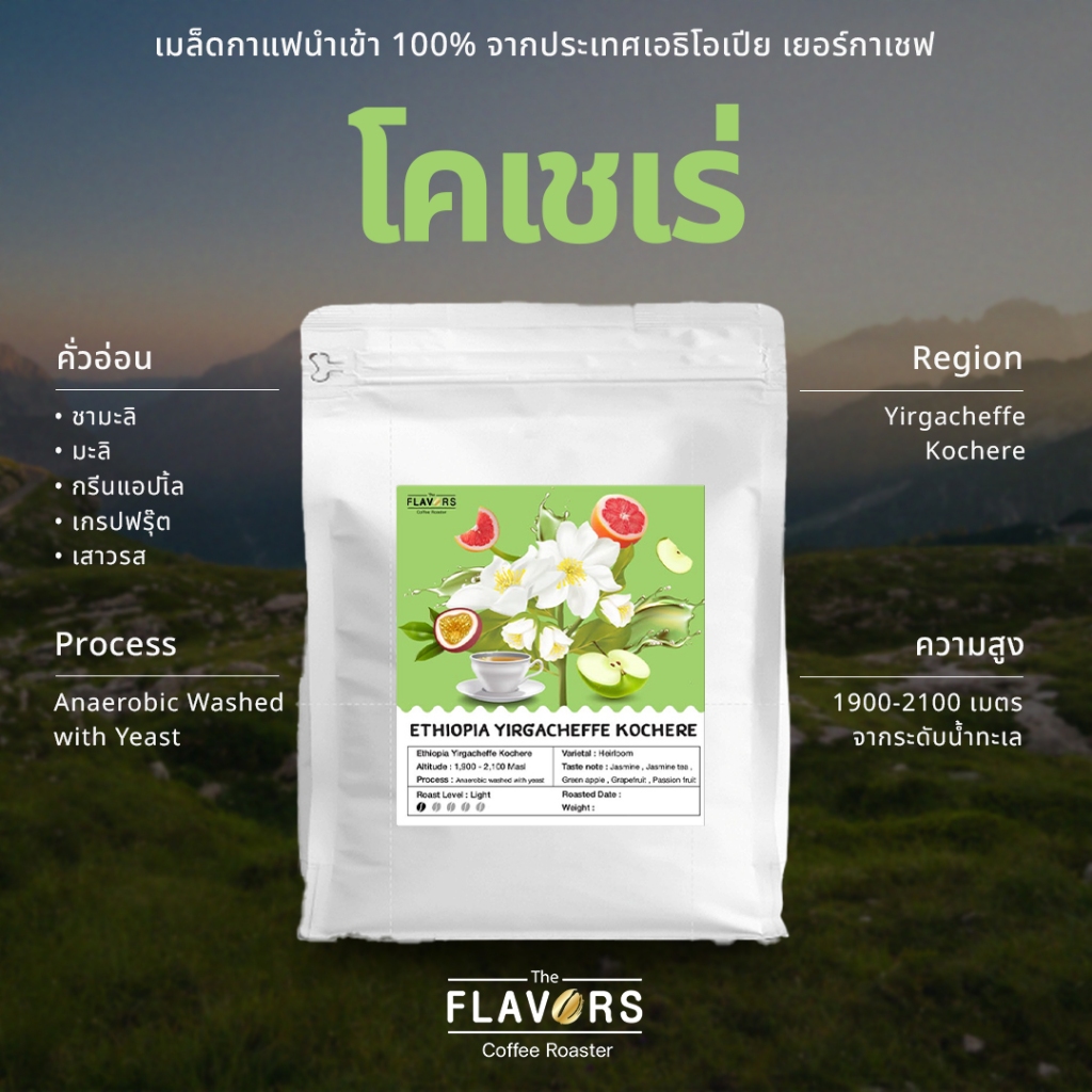 เมล็ดกาแฟ "เอธิโอเปีย เยอร์กาเชฟ โคเชเร่" คั่วอ่อน 100, 200 กรัม นำเข้า 100% ชามะลิ ฟลอรัล แอปเปิ้ล