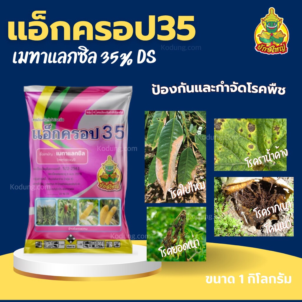 แอ็กครอป 35  #เมทาแลกซิล 35% DS -1 กิโลกรัม