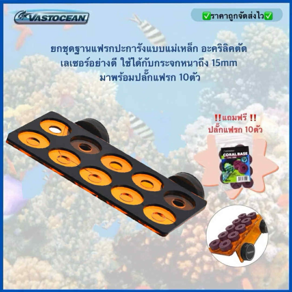ยกชุดฐานแฟรกปะการังแบบแม่เหล็ก อะคริลิคตัดเลเซอร์อย่างดี ใช้ได้กับกระจกหนาถึง 15mm มาพร้อมปลั๊กแฟรก 10ตัว