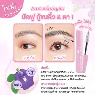 เมจิ บัตเตอร์ฟลาย พี แลช แอนด์ บราว วอลุ่ม เซรั่ม 6 ก. MEIJI BUTTERFLY PEA LASH & BROW VOLUME SERUM 6 G.