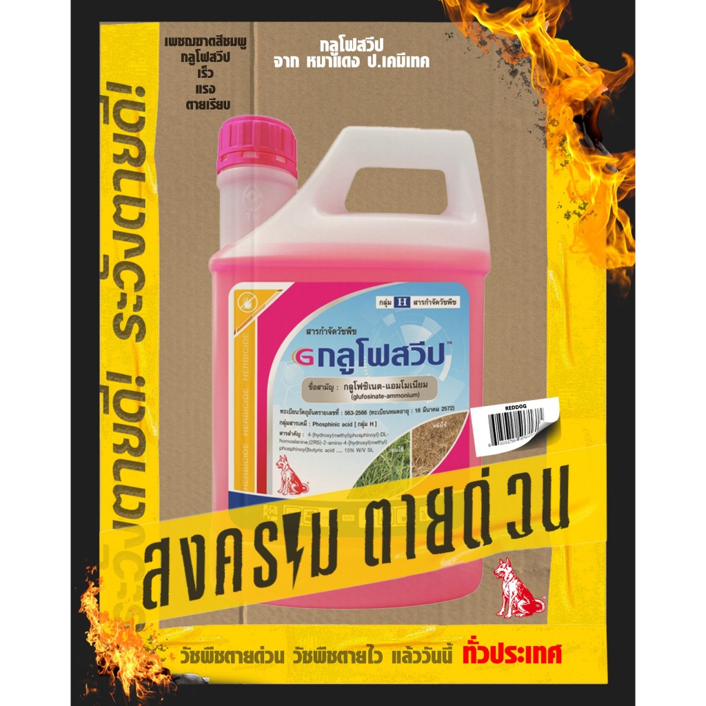 กลูโฟสวีป ขนาก5ลิตร ยกลัง 4แกลลอน - รูปที่ 2