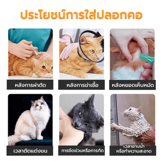 ปลอกคอกันเลีย ปลอกคอสัตว์เลี้ยง คอลล่าแมว คอลล่าสุนัข Collar ป้องกันการเลียแผล ปรับขนาดได้ มีหลายขนาดให้เลือก