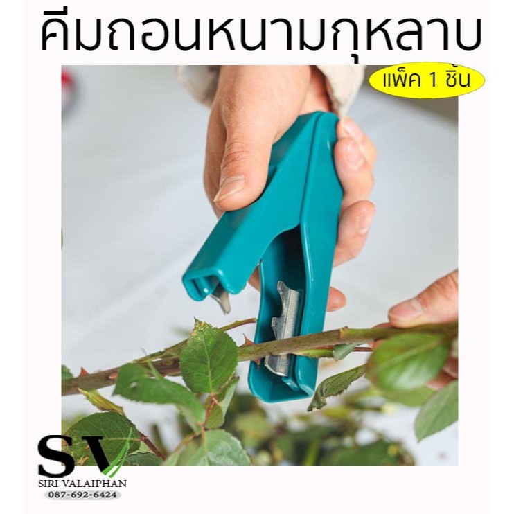 คีมถอนหนาม ลบหนามกุหลาบ (Rose Thorn Remover) ใช้สำหรับหนีบแล้วรูดไปตามกิ่งกุหลาบ เพื่อดึงหนามและใบเล็ก ๆ ออกอย่างรวดเร็ว