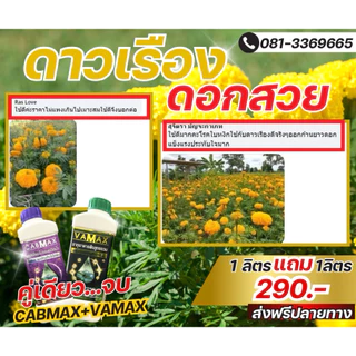 1ลิตรแถมฟรี1ลิตรCABMAXแคลเซี่ยมโบรอน+VAMAXธาตุอาหารรวม7ชนิด