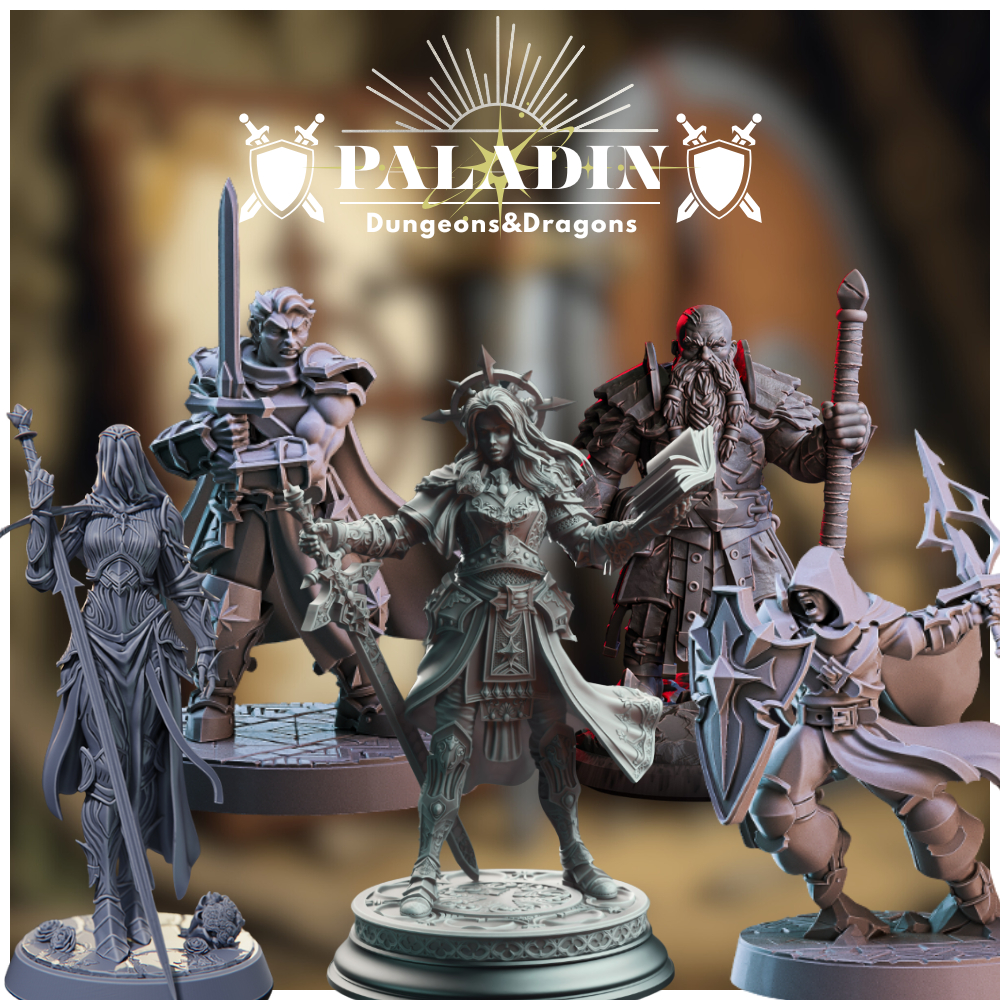 Dnd miniature Dungeon and dragons PALADIN CLASS