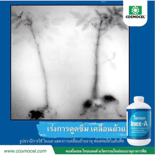 Inex-A ไอเนค 1ลิตร สารเพิ่มประสิทธิภาพ สารเร่งการแทรกซึม ลดการเกิดฟอง