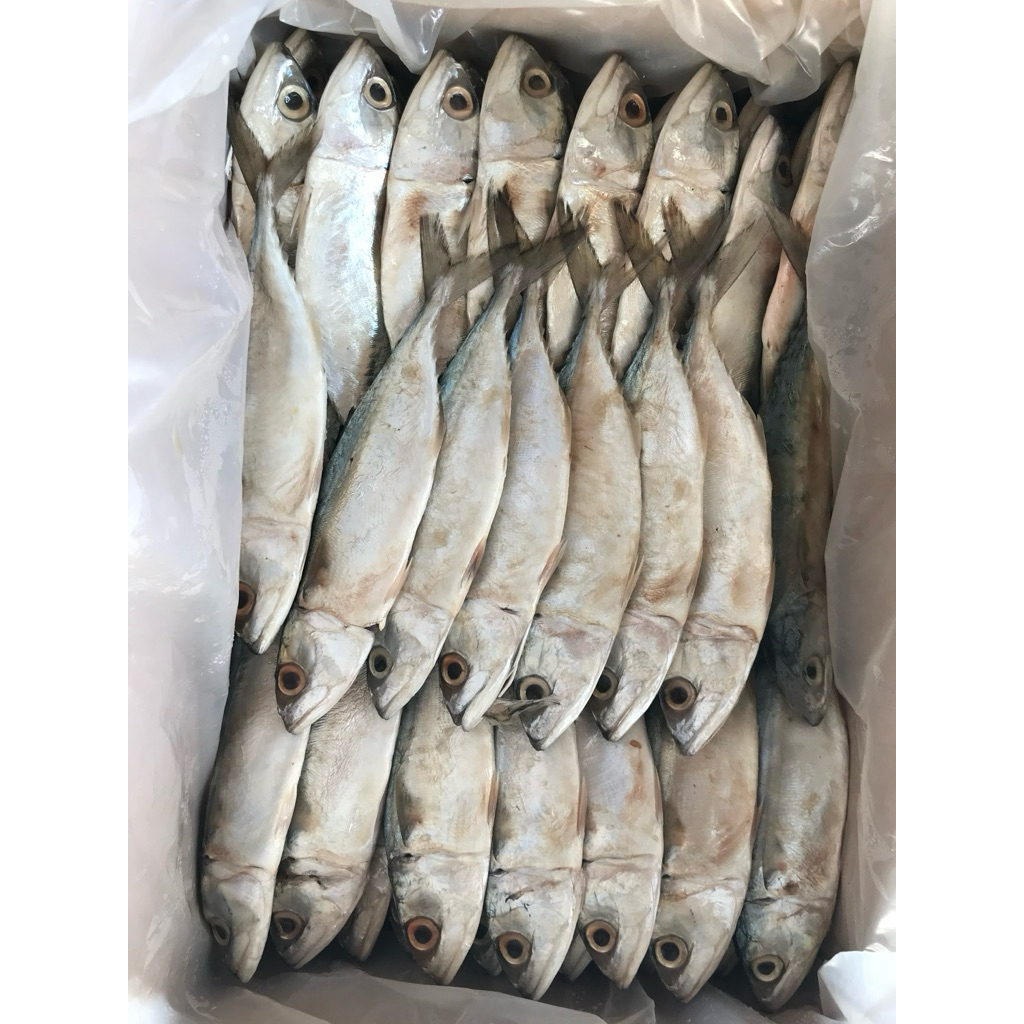 ปลาทูมัน ปลาทูเค็มน้อย ถูกที่สุด 500 กรัม