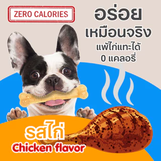 🇺🇸Made in USA🇺🇸 Nylabone Flexi Chew Textured Dental Bone Dog Chew Toyของเล่นขัดฟันสุนัขมีปุ่มรอบด้าน