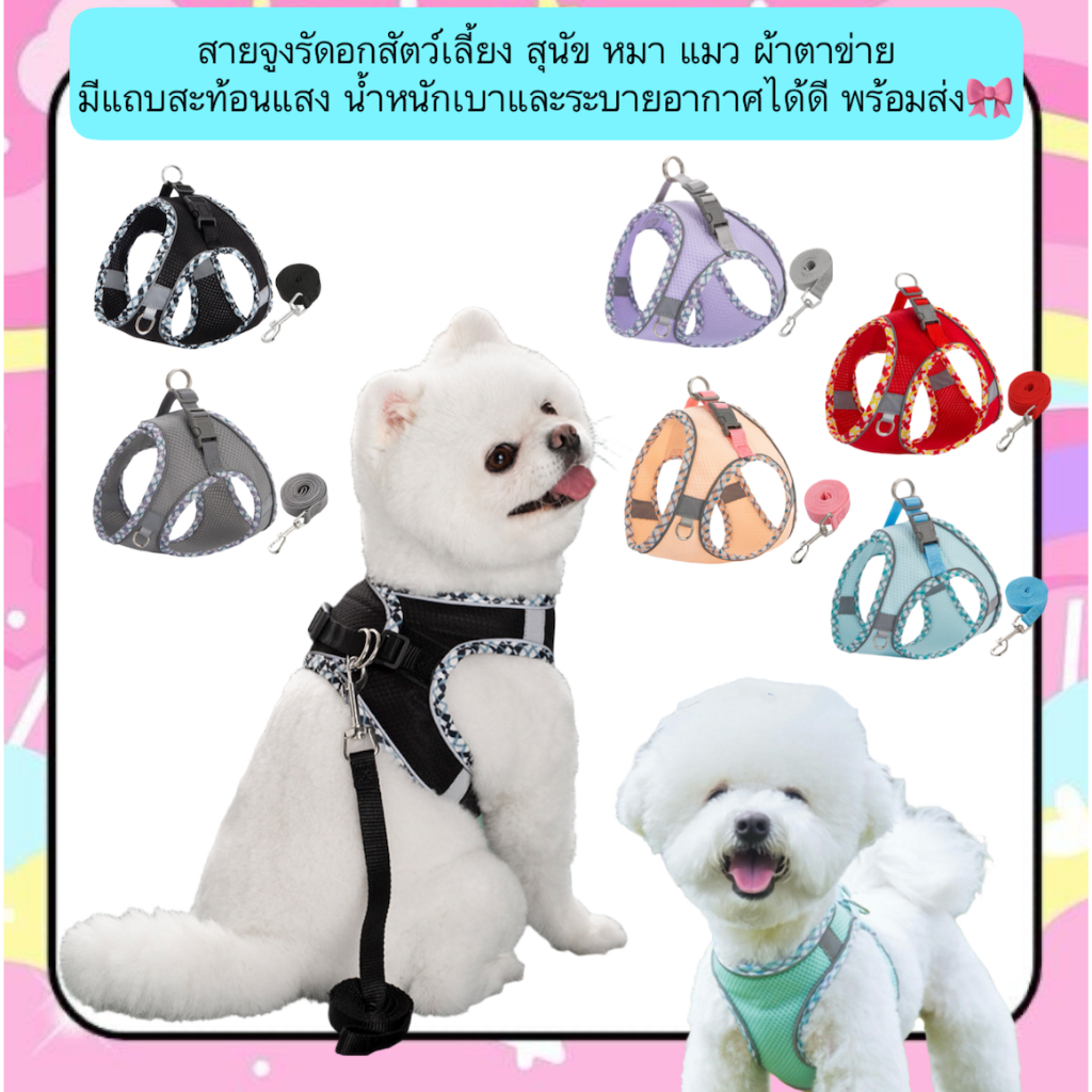 PP-503 สายจูงรัดอกสัตว์เลี้ยง สำหรับสุนัขและแมว ผ้าตาข่ายระบายอากาศ พร้อมแถบสะท้อนแสง น้ำหนักเบา ใส่สบาย พร้อมส่ง! 🐾