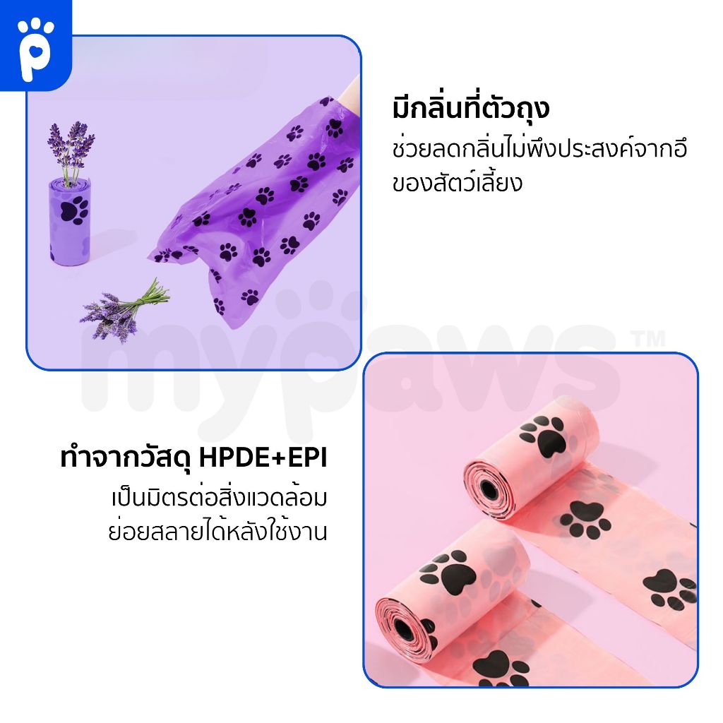 รูปภาพ 7