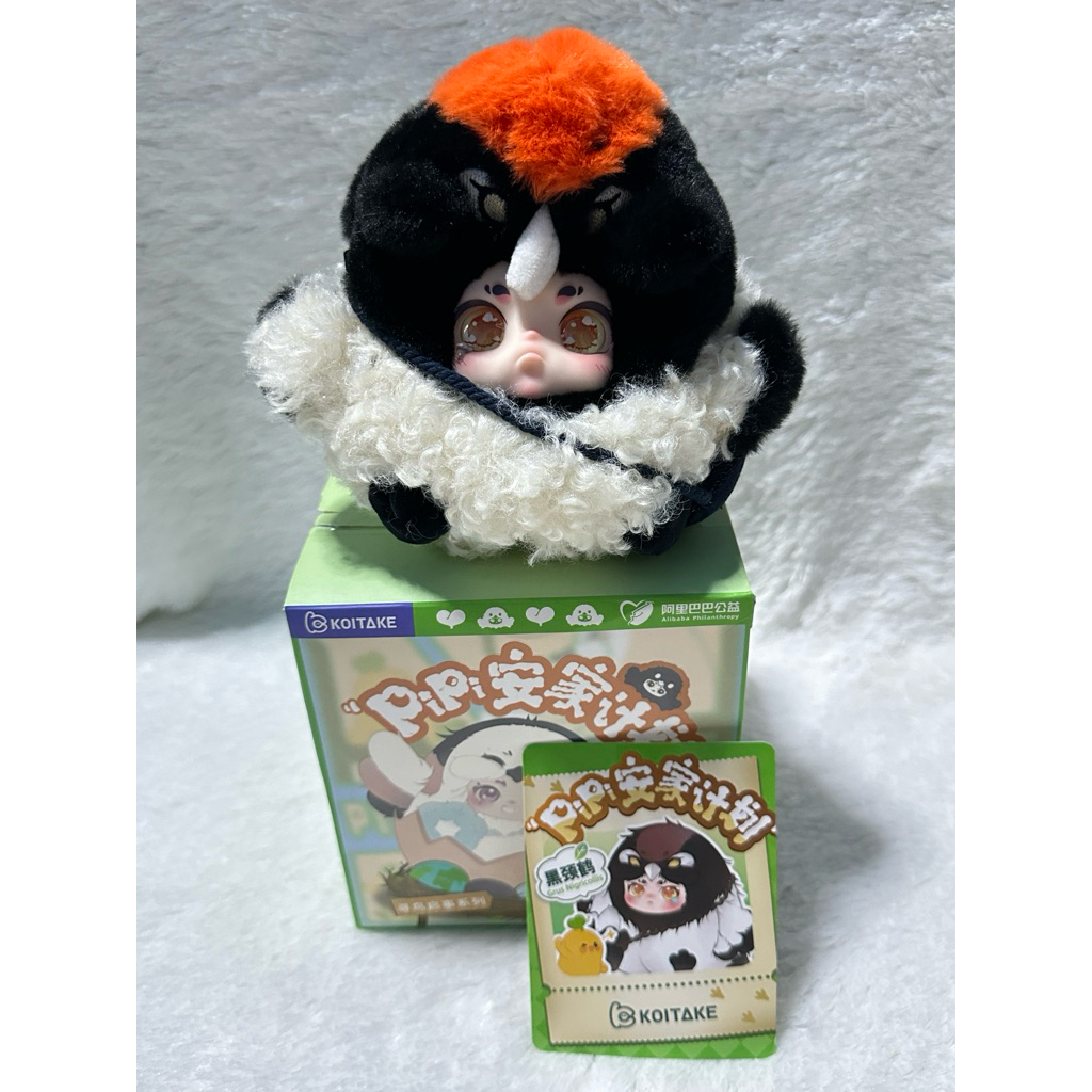 กล่องจุ่ม Koitake x Pipi 🦅