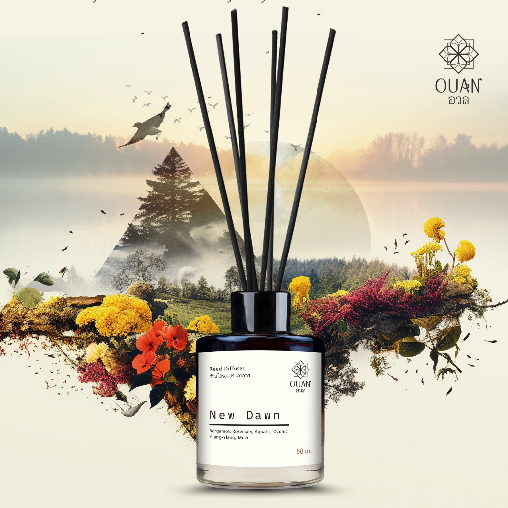 ก้านไม้หอมปรับอากาศ Reed Diffuser ขนาด 50ml  เซ็ท 2 (7 กลิ่น) หอมเข้มข้นยาวนาน ปลอดภัย เหมาะทั้งใช้เอง ของฝากของชำร่วย